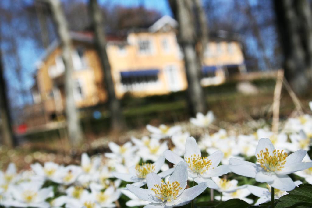 Toftastrand Hotell Växjö Kültér fotó